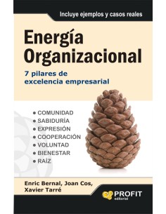 Energia Organizacional