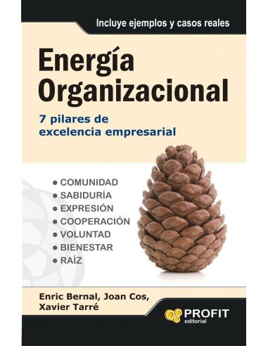 Energia Organizacional