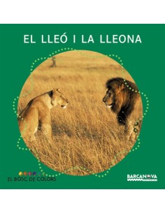 El lleo i la lleona