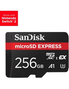 Express 256 GB MicroSDXC UHS-I