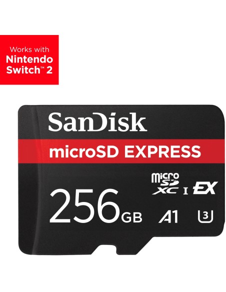 Express 256 GB MicroSDXC UHS-I