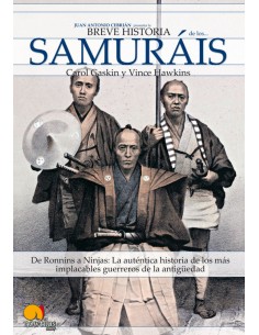 Breve historia de los samurais