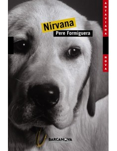 Nirvana