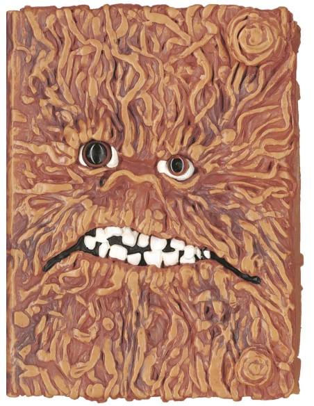 El meu diari del mon magic