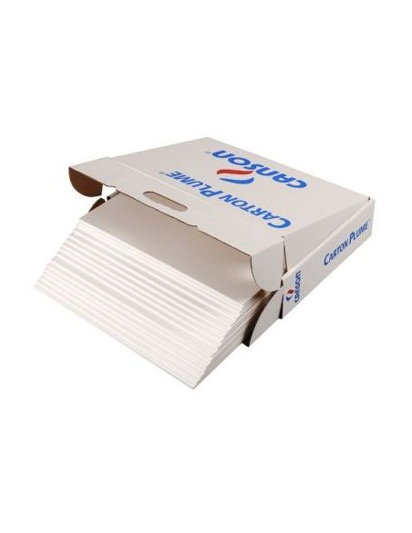 C205154223 papel decorativo Arte de papel