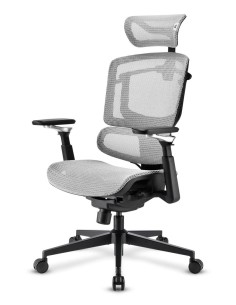OfficePal C50M Asiento acolchado Respaldo de rejilla