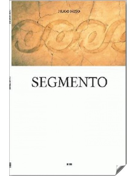 Segmento