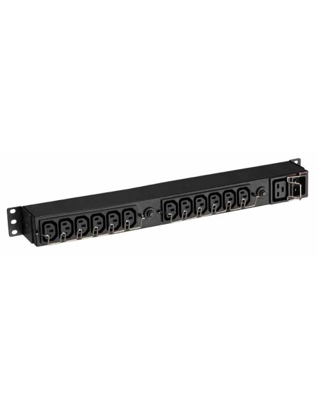 EFLX12I unidad de distribución de energía (PDU) 13 salidas AC 1U Negro