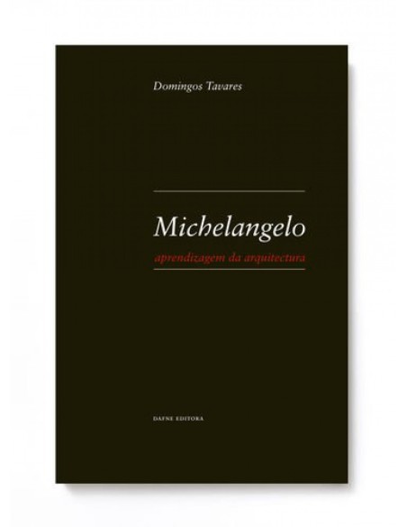 Michelangelo Aprendizagem da arquitectura