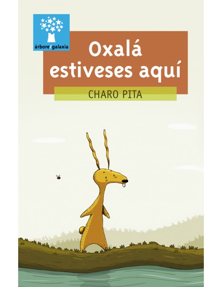 OXALA ESTIVESES AQUI