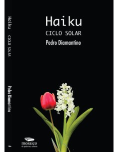 HAIKU CICLO SOLAR