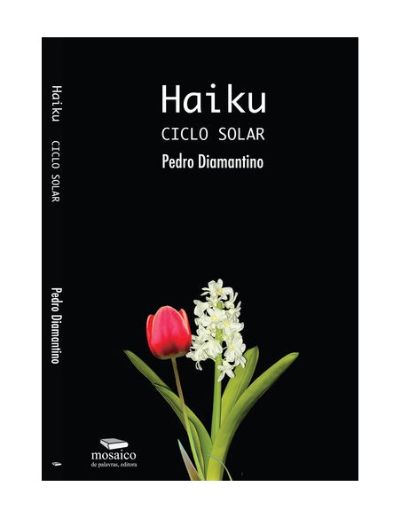 HAIKU CICLO SOLAR