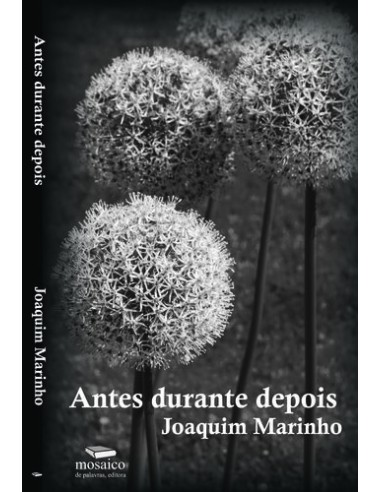 ANTES DURANTE DEPOIS