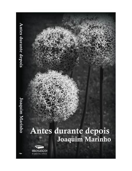 ANTES DURANTE DEPOIS