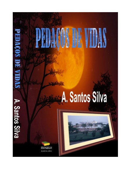PEDACOS DE VIDAS
