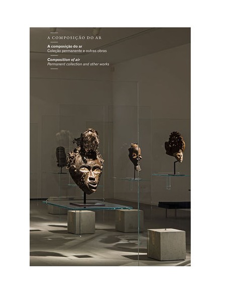 A COMPOSICAO DO AR COLECAO PERMANENTE E OUTRAS OBRAS