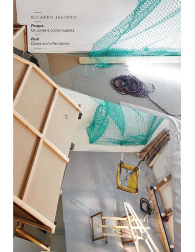 PARQUE OS CONES E OUTROS LUGARES