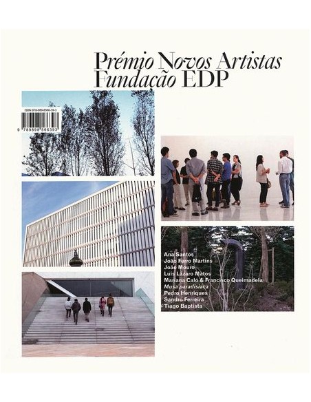 PREMIO NOVOS ARTISTAS FUNDACAO EDP 2013