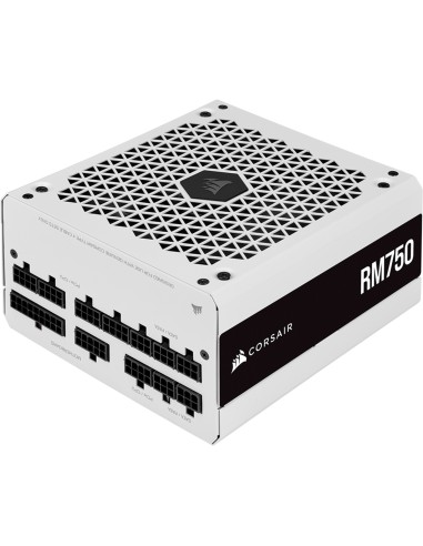 RPS0119 unidad de fuente de alimentación 750 W 24-pin ATX ATX Blanco
