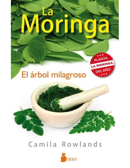 LA MORINGA