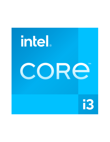 Pro 290 G9 Intel® Core i3 i3-13100 8 GB DDR4-SDRAM 256 GB SSD Windows 11 Pro SFF PC Negro