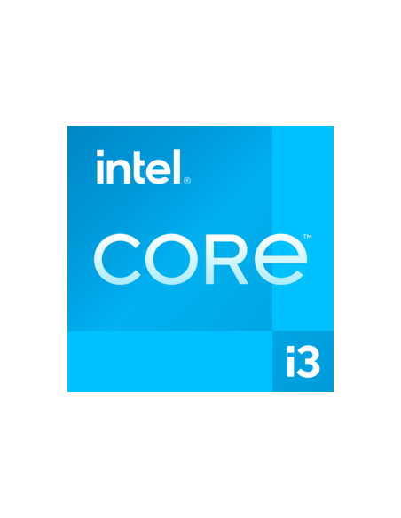 Pro 290 G9 Intel® Core i3 i3-13100 8 GB DDR4-SDRAM 256 GB SSD Windows 11 Pro SFF PC Negro