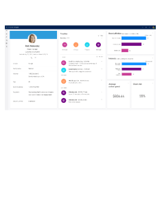 DYNAMICS 365 CUST INSIGHT