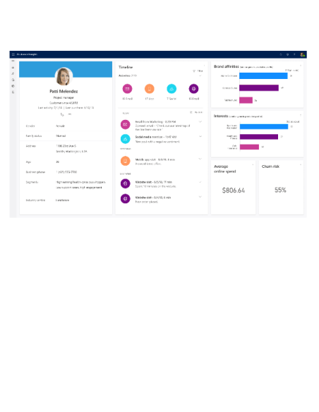 DYNAMICS 365 CUST INSIGHT