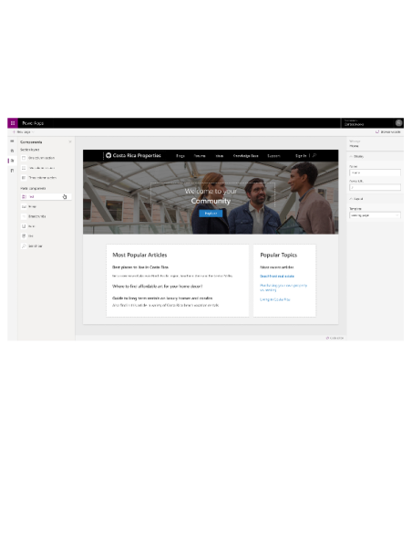 POWER APPS PORTAL P VIEW CAP ADD-ON