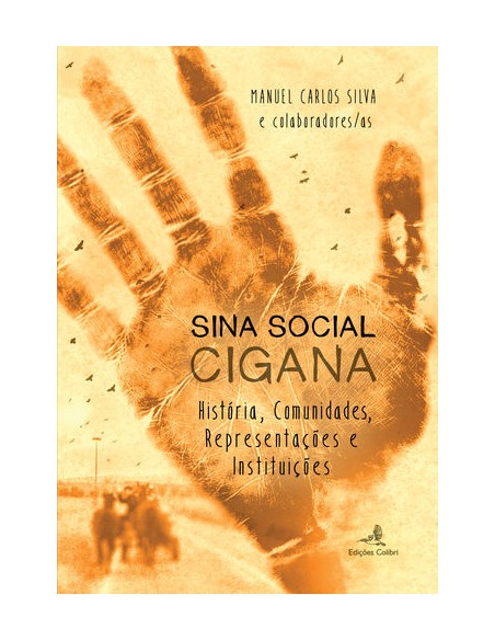 Sina Social Cigana Historia Comunidades Representacoes e Instituicoes