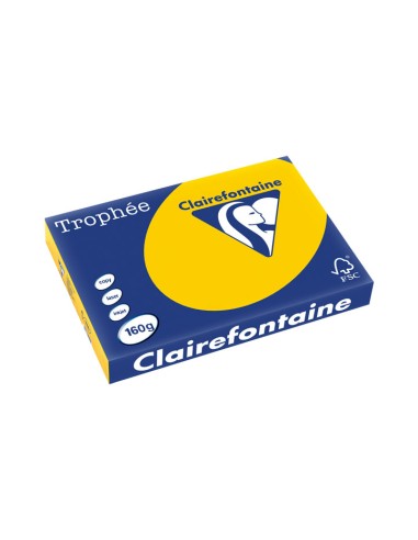 PAQ. 250H PAP. TROPHEE CLF SUAVE A3 160G OCRE CL
