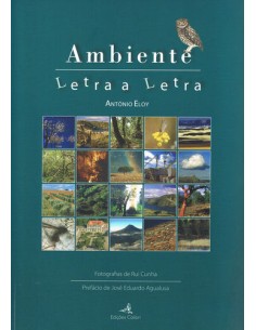 Ambiente Letra a Letra