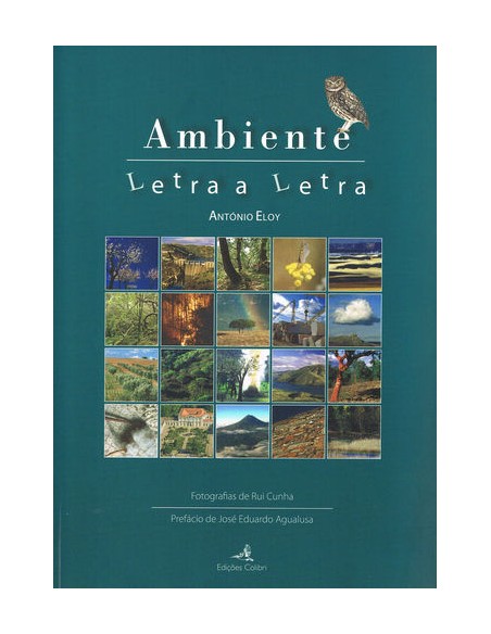 Ambiente Letra a Letra