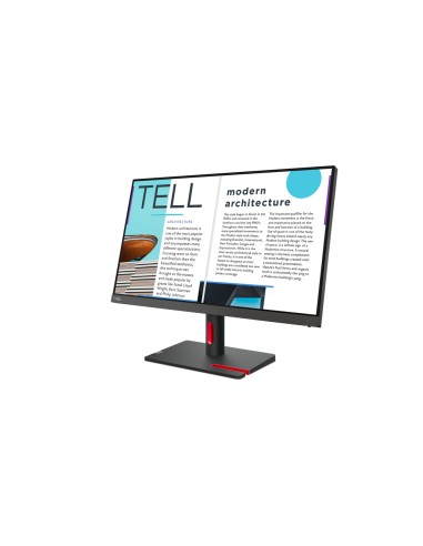 ThinkVision S25e-30 LED display 62,2 cm (24.5") 1920 x 1080 Pixeles Full HD Gris