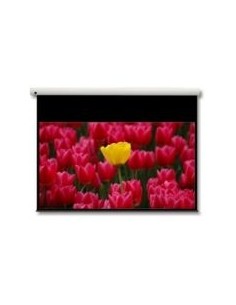 Panoview 16:9 106" pantalla de proyección 2,69 m (106")