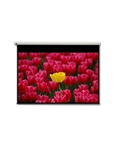 Pantalla 16:9 2656 x 1494mm pantalla de proyección 3,05 m (120")