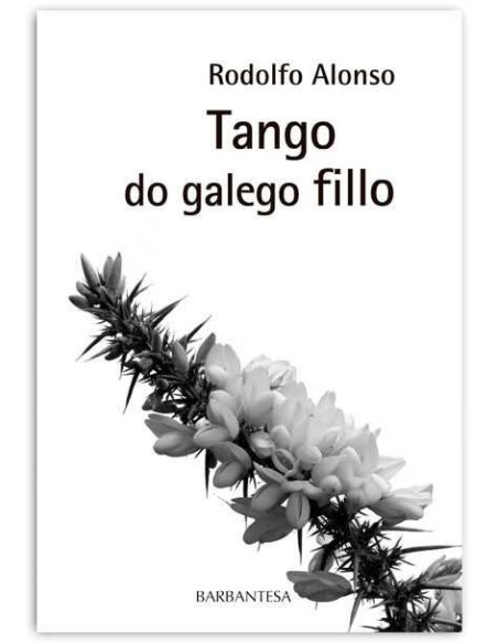 Tango do galego fillo