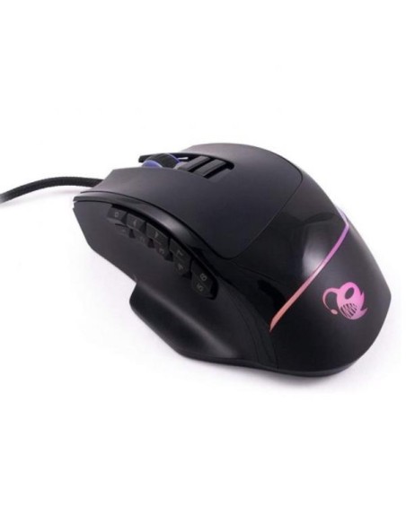 RATON DP PRO-SWAP MODULAR      PERP RATON DP PRO-SWAP MODULAR      PERP