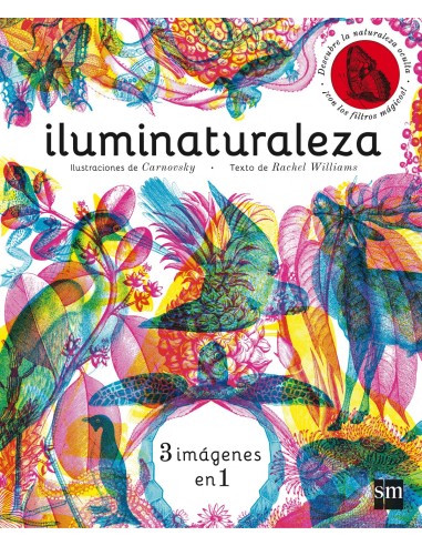 Iluminaturaleza