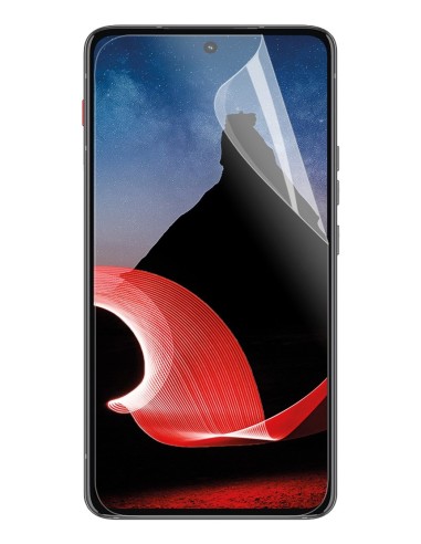 036339 protector de pantalla o trasero para teléfono móvil Motorola 1 pieza(s)