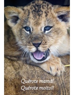 POSTAL Querote Mama Leon