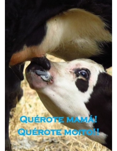 Postal Querote Mama cuxino