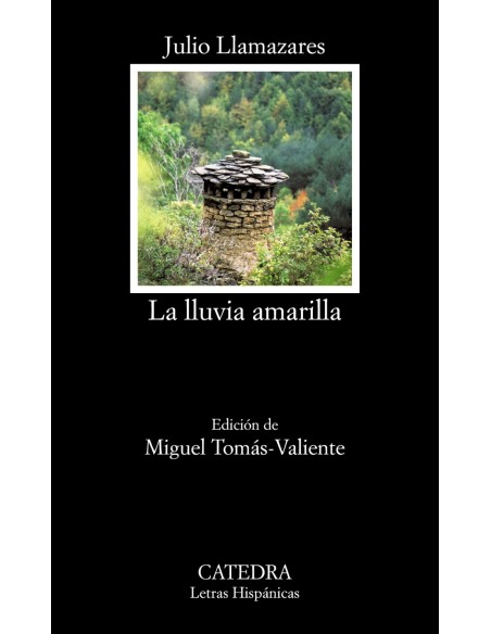 LA LLUVIA AMARILLA