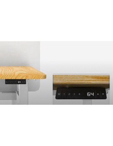 650830 estructura regulable para escritorio Eléctrico 4 pata(s) Gris