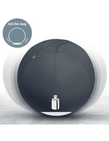 Ergo Gris Interior Esférico