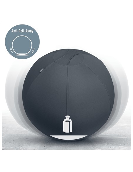 Ergo Gris Interior Esférico