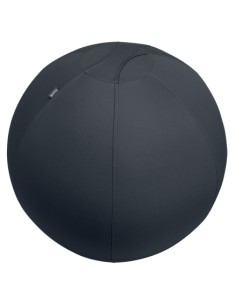 Ergo Gris Interior Esférico