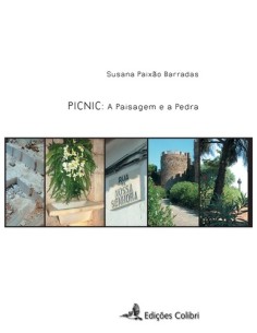 PICNIC A PAISAGEM E A PEDRA
