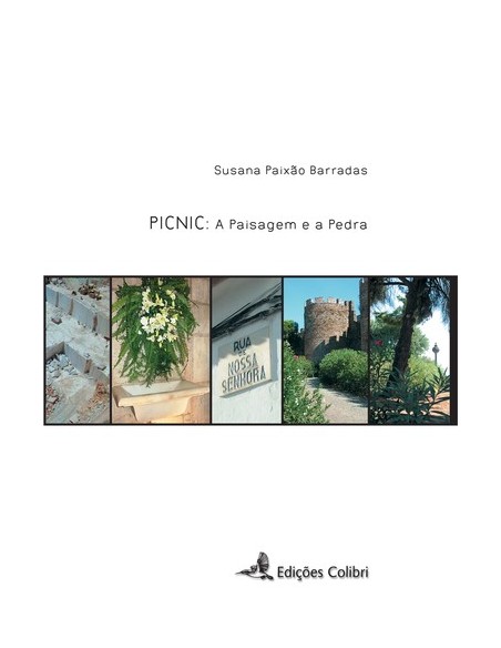 PICNIC A PAISAGEM E A PEDRA