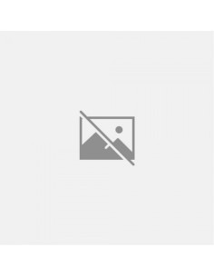 NOTULAS HISTORICAS SOBRE OS PRIMEIROS TEMPOS DA ACADEMIA DAS CIENCIAS DE LISBOA